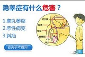 隐睾症的危害具体是哪些