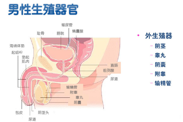 小便刺痛怎么回事