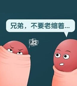 引起男性包莖的主要原因?